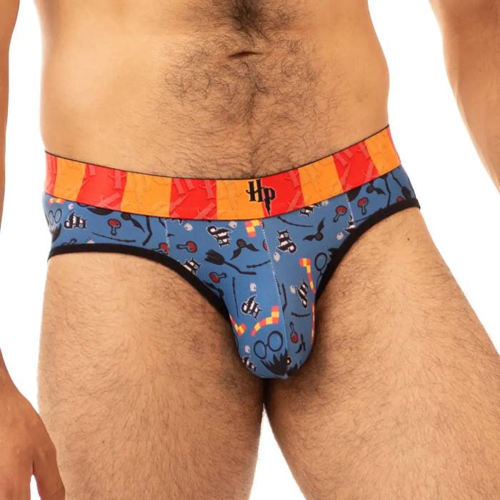 Brief Harry Potter