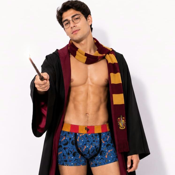 Boxer Harry Potter