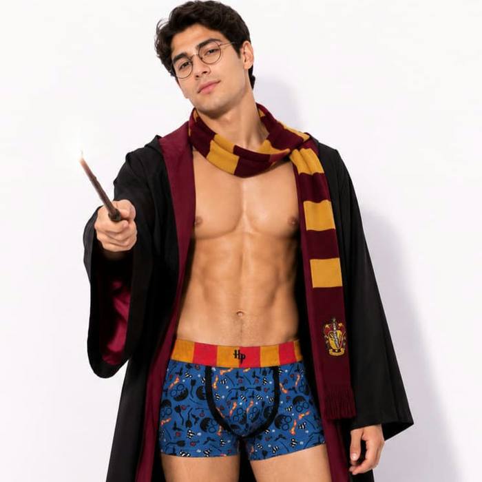 Boxer Harry Potter